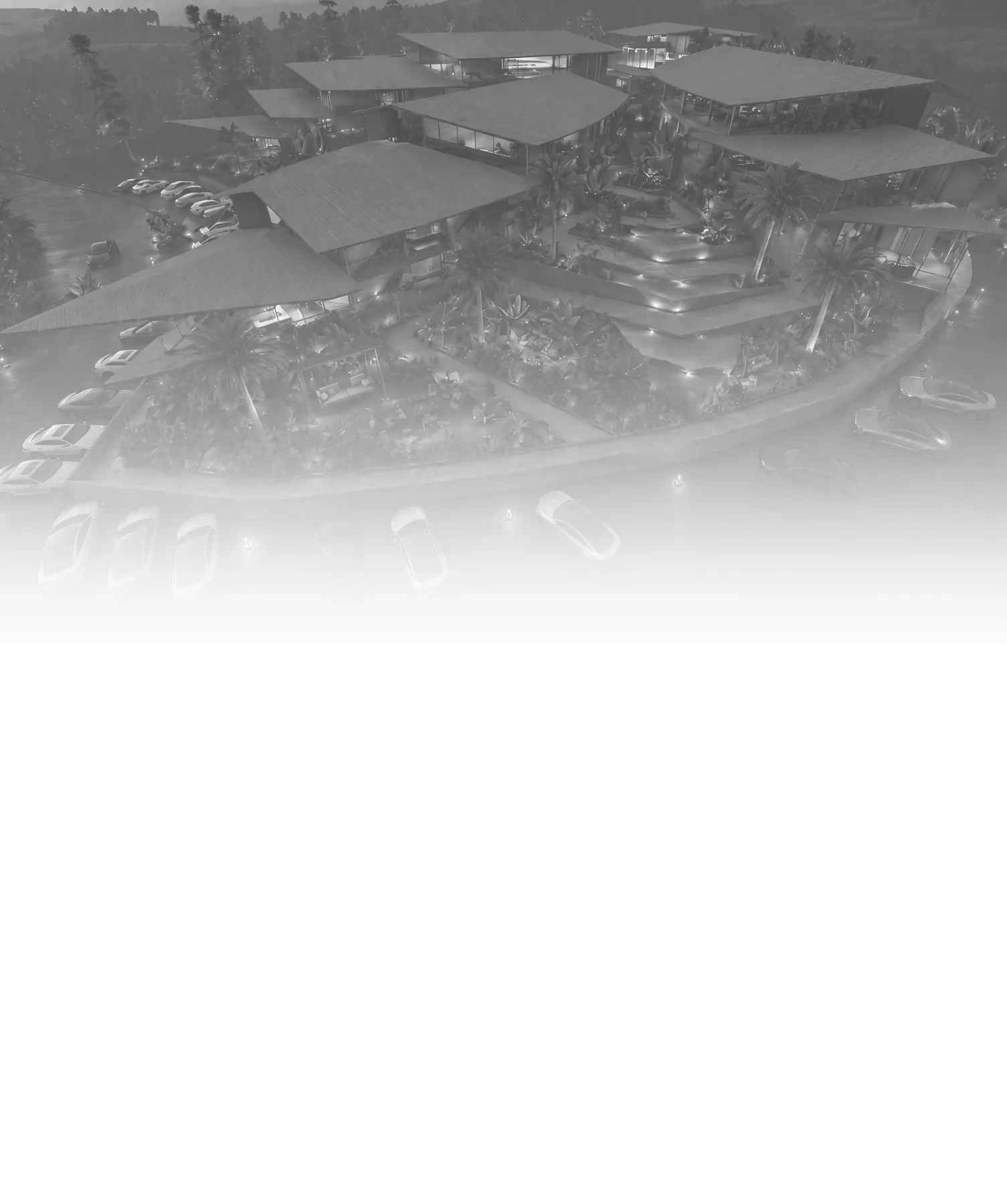 banner-image