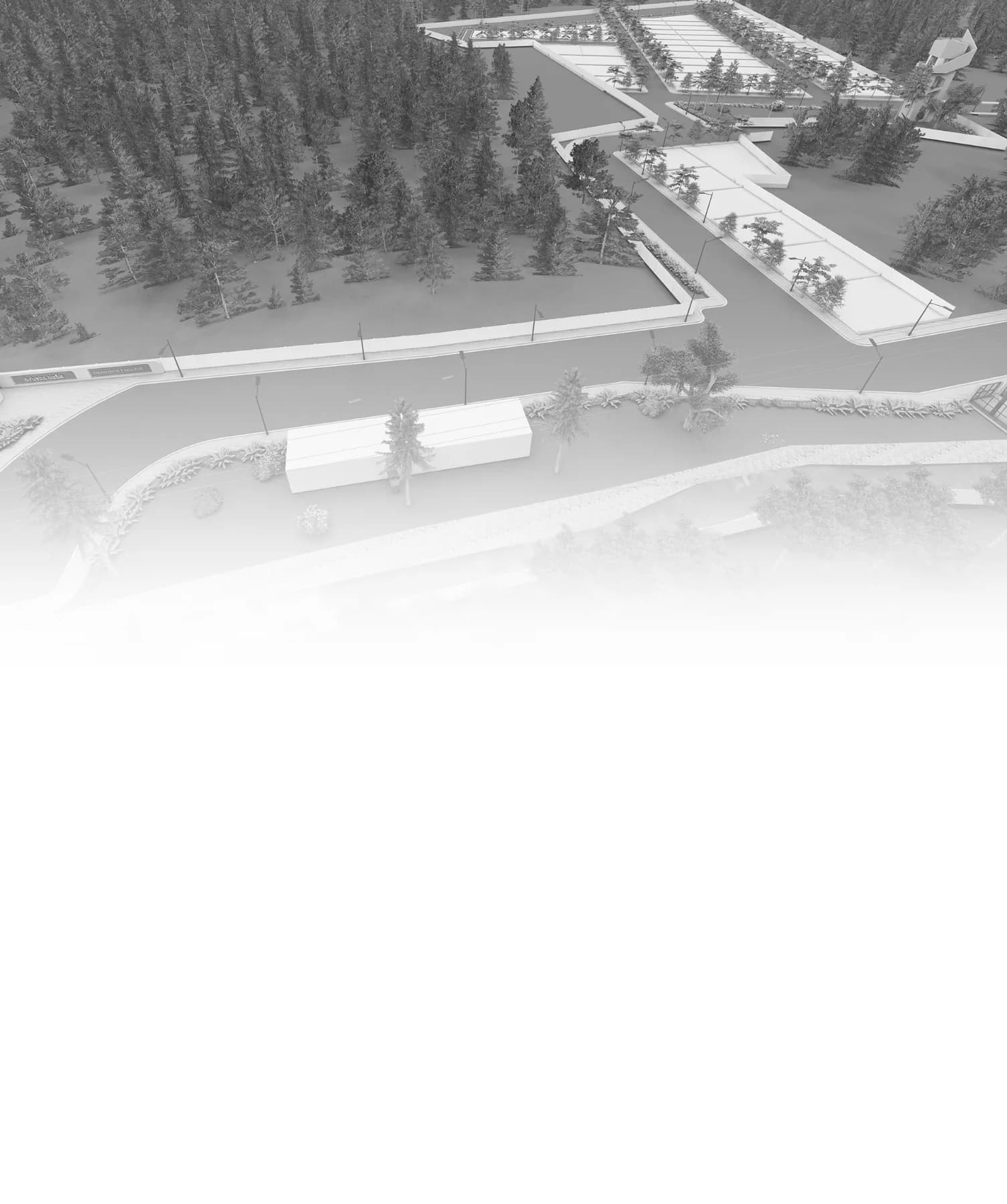 banner-image