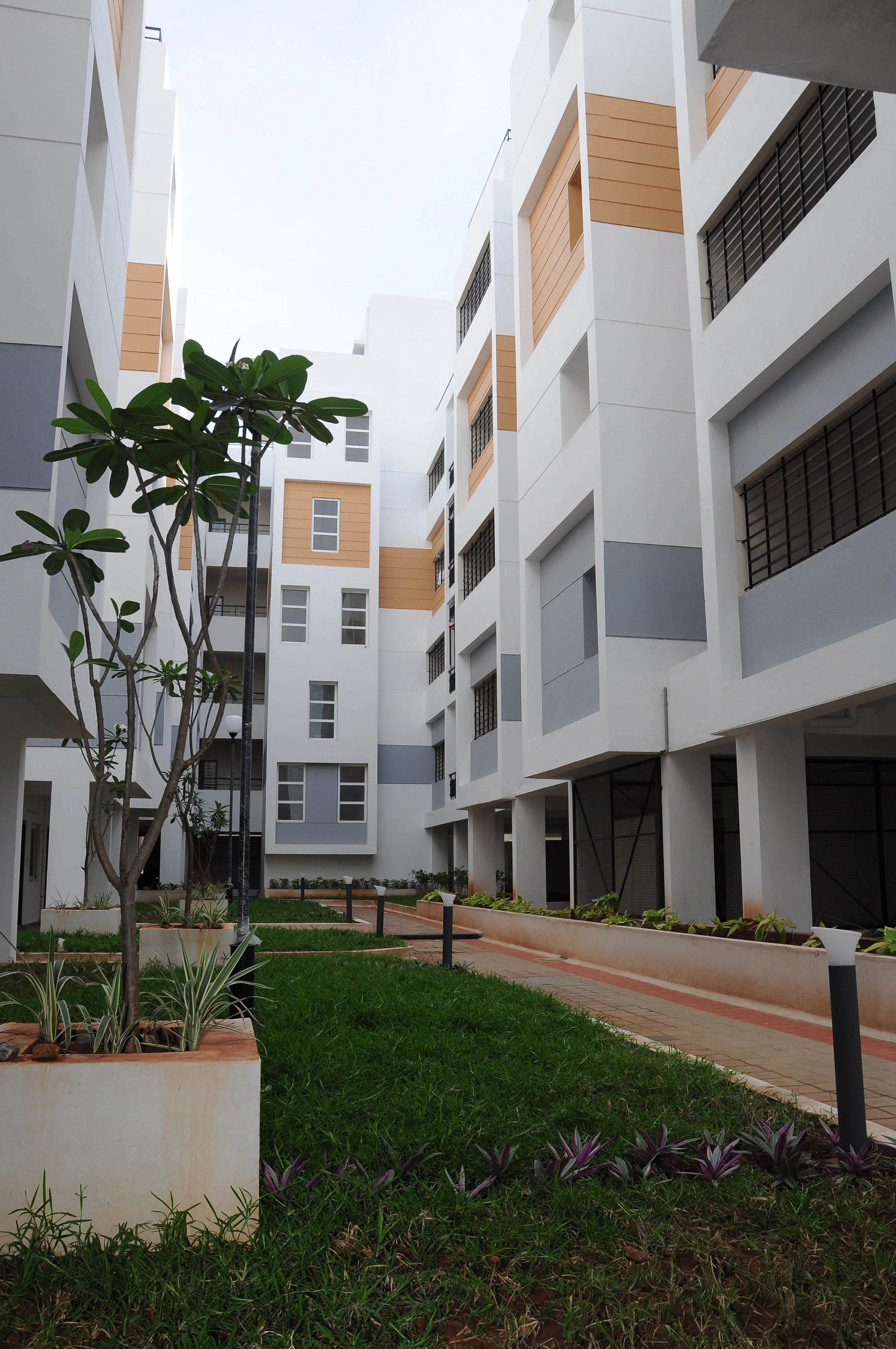 Oak Canopy Apartments 2