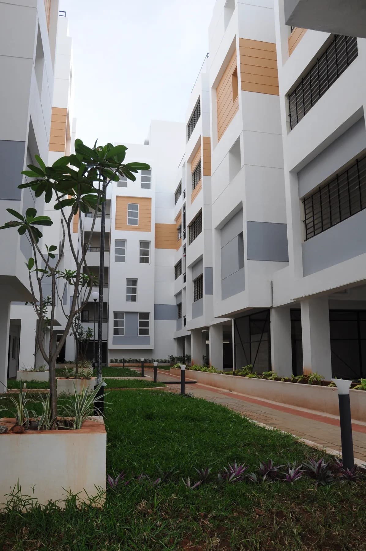 Oak Canopy Apartments 3