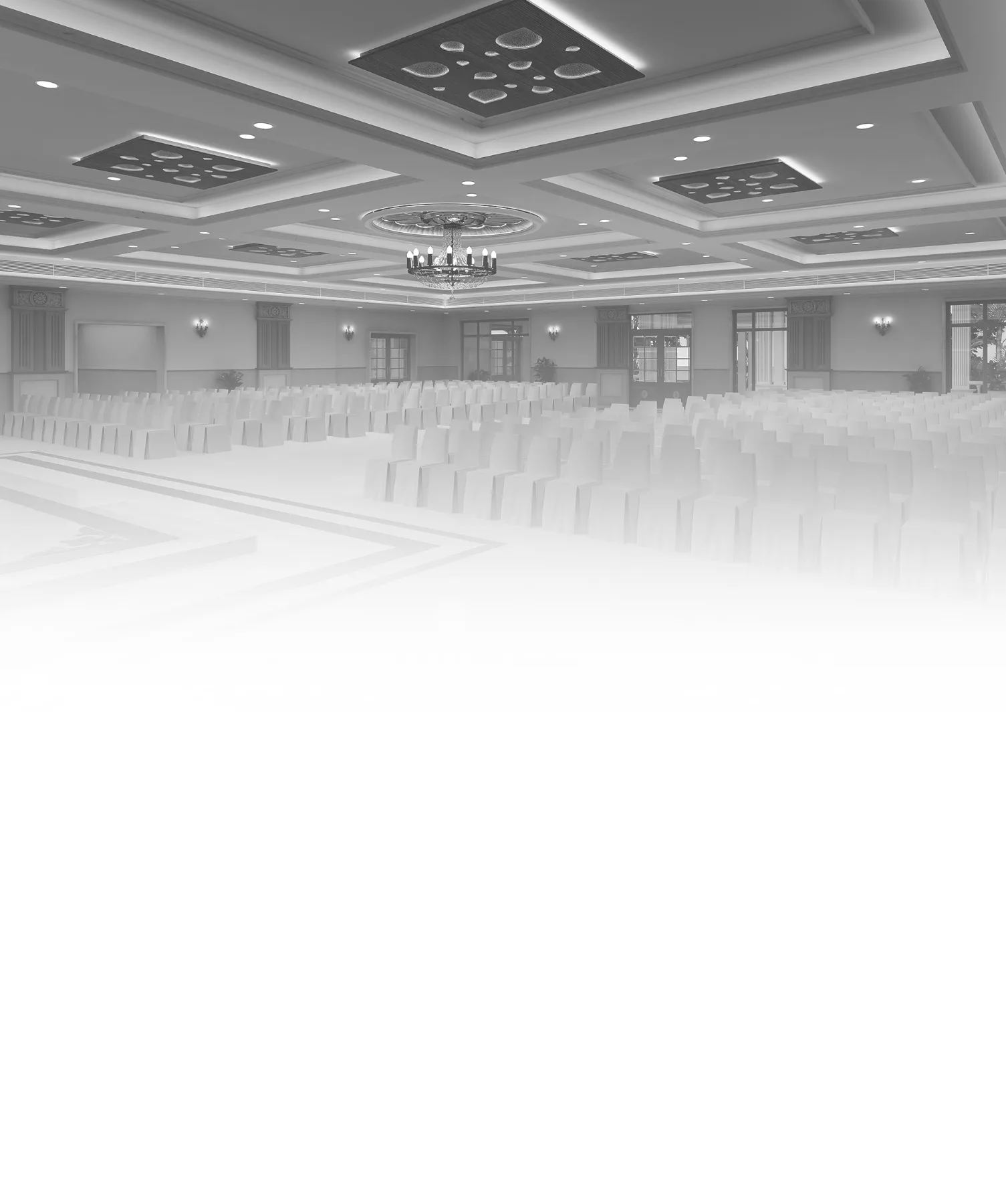 banner-image
