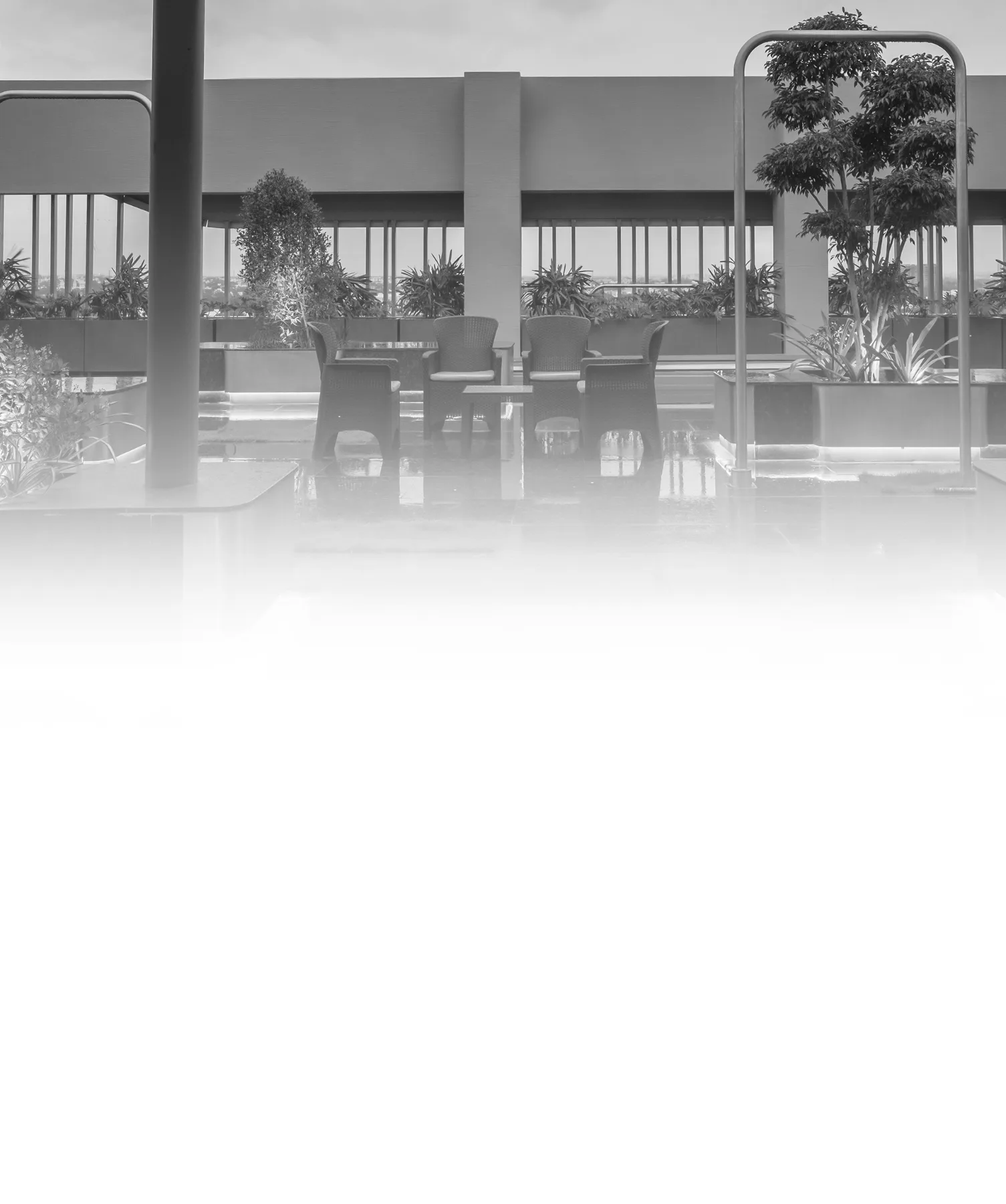 banner-image